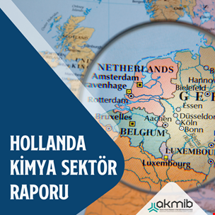 Hollanda Kimya Sektör Raporu